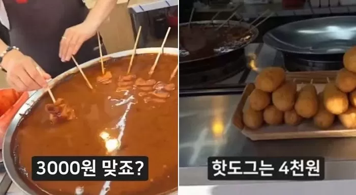 인사이트