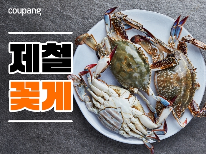 쿠팡 로켓프레시, 가을 꽃게 기획전 오픈...산지직송 5곳으로 확대