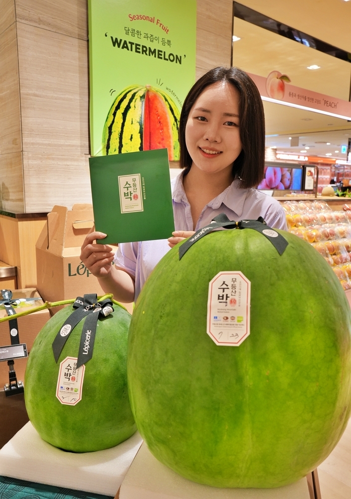 5. [롯데백화점] 서울시 중구 소공동 본점 지하 1층 식품관에서 모델이 무등산 수박과 옆에서 포즈를 취하고 있다.JPG
