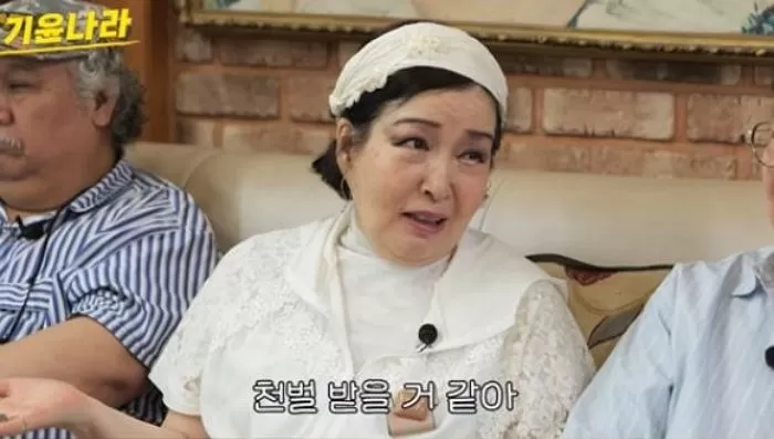 인사이트