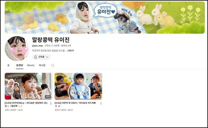 인사이트