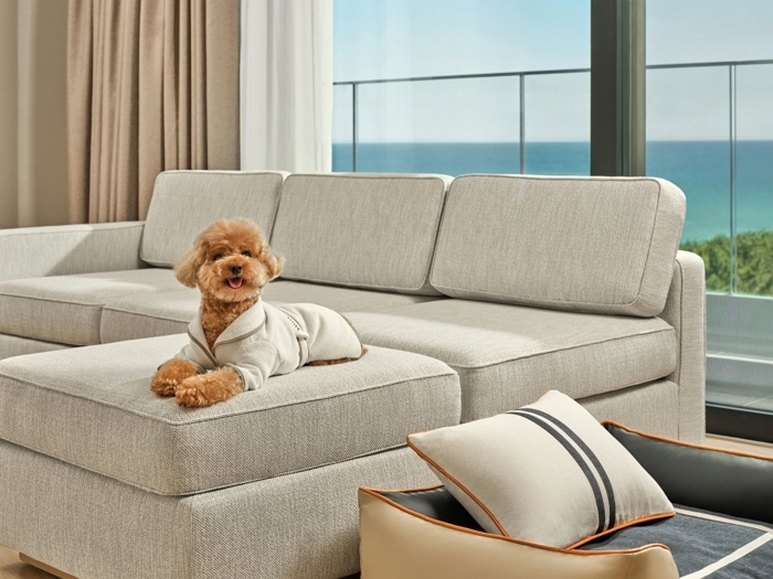 “우리집 초코와 같이 호캉스”... 신라모노그램 강릉, 펫 객실·전용 패키지로 펫팸족 공략