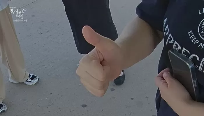 인사이트