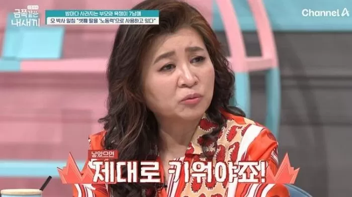 인사이트