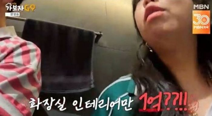 에일리♥최시훈 신혼집 공개... 화장실만 1억, 블랙 변기·사우나까지