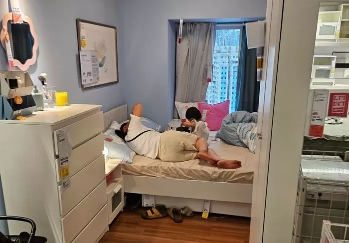 인사이트