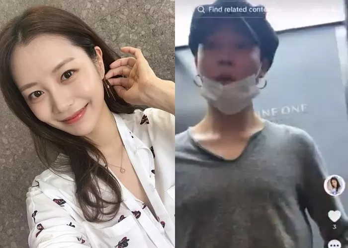 인사이트