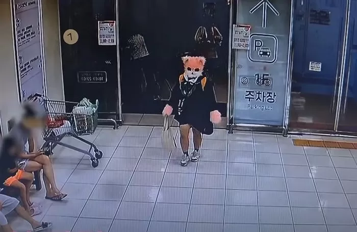 인사이트