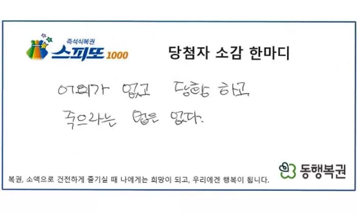 인사이트