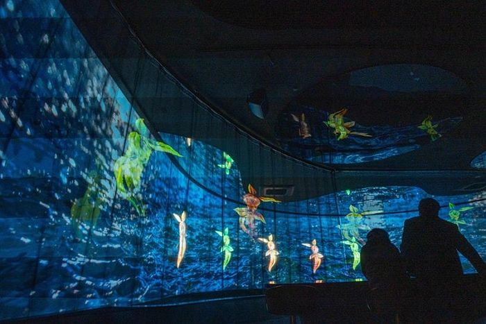 로얄살루트, 배우 이재욱과 함께하는 ‘더 하우스 오브 원더’ 개최