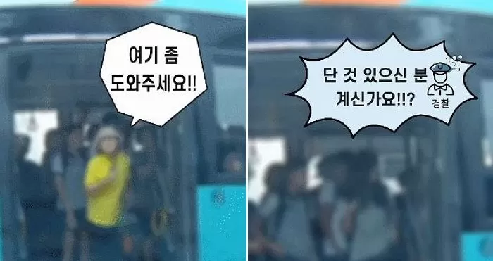 인사이트