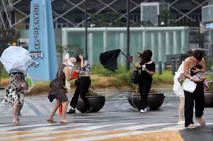 기사의 이해를 돕기 위한 자료 사진 / 뉴스1