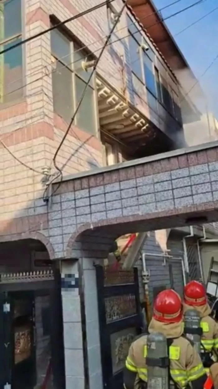 인사이트