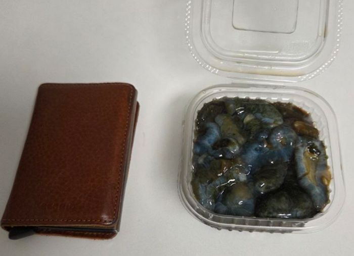 부산 자갈치 시장서 구매한 7만원짜리 해삼 수준 (사진)