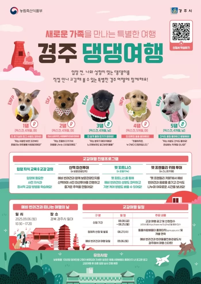 ‘경주 댕댕여행’ 신청모집 공고 포스터 / 경주시
