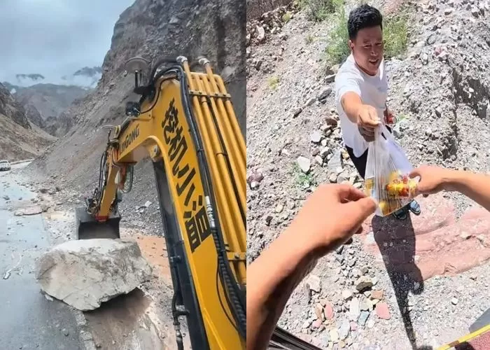 인사이트