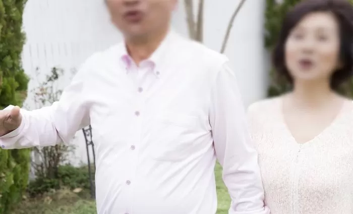 인사이트
