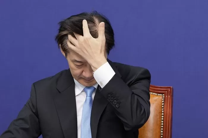 인사이트