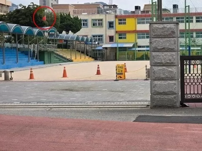 /사진=SNS