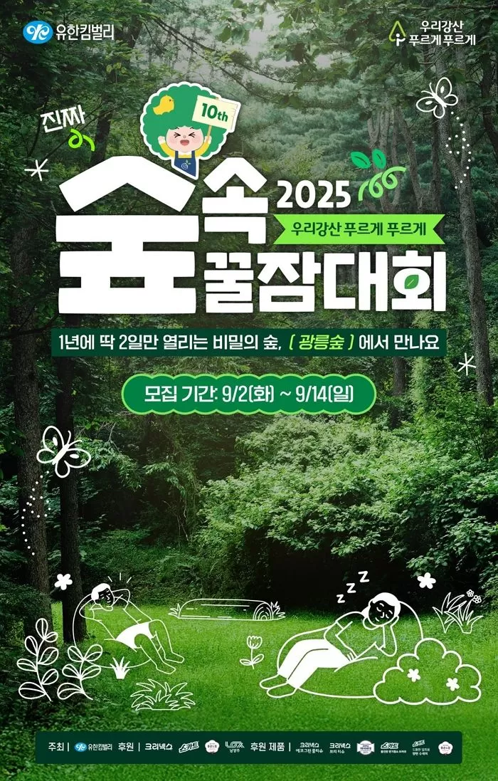 인사이트
