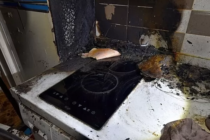 반려동물로 인한 화재 모습. 사진=대전시 제공