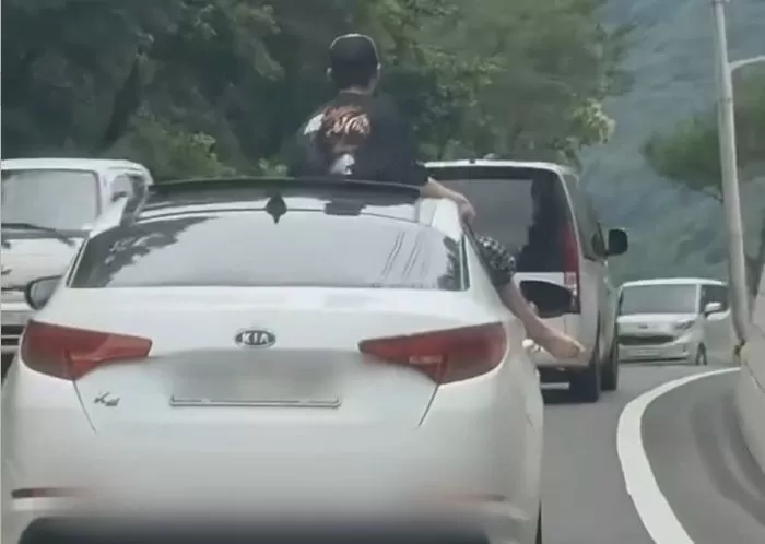 인사이트