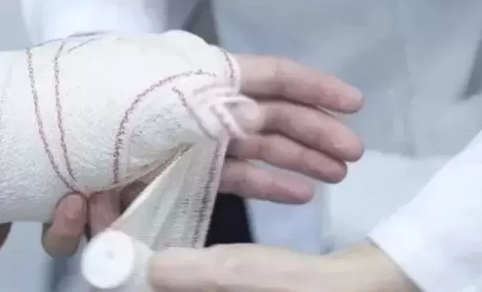 보험사기,사기꾼 사기범죄,생선가게 생선,손가락 절단,장애 손보