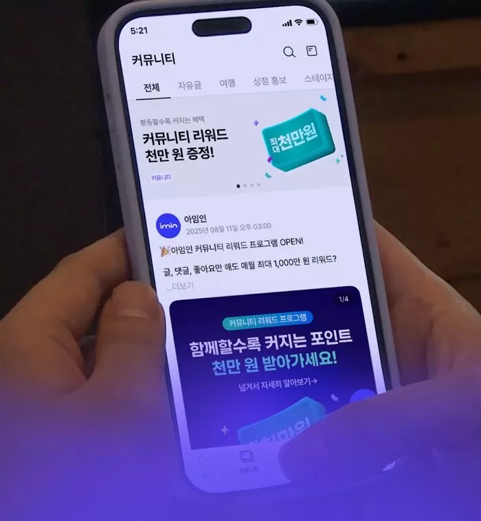 인사이트