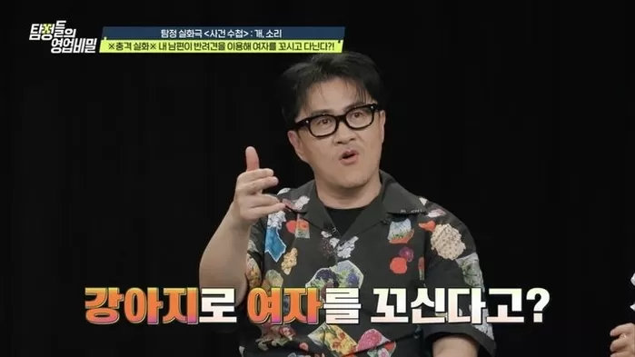 “강아지가 예쁜 여자에게 달려갔다”... 반려견 이용해 불륜 저지른 남편의 뻔뻔한 변명