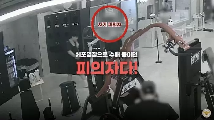 인사이트