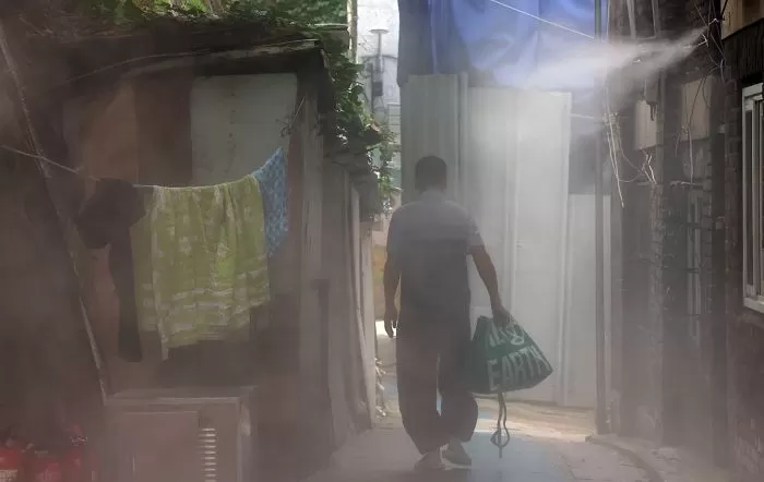 인사이트