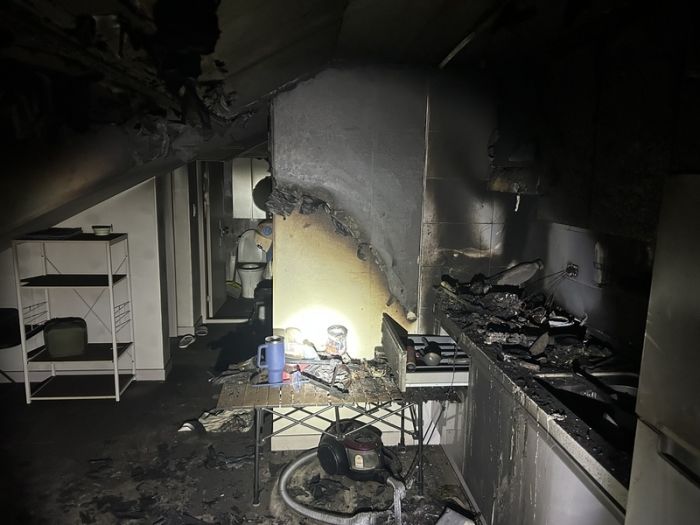 “일부러 한 거 아니라냥”... 포항 빌라 화재, 고양이 때문이었다