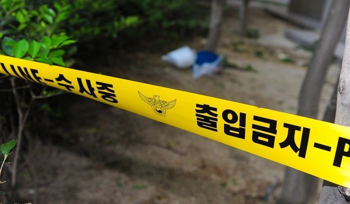 기사 이해를 돕기 위한 자료 사진 / 뉴스1