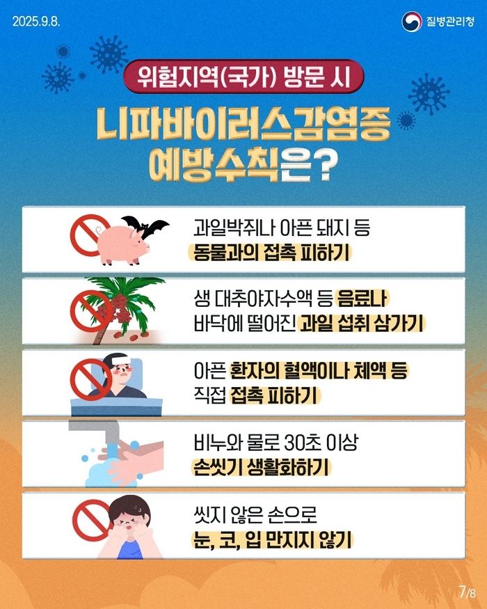 origin_치명률최고75박쥐조심…니파바이러스감염증1급감염병지정 (1).jpg
