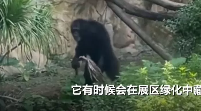 베이징 뉴스