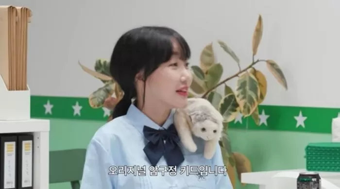 인사이트