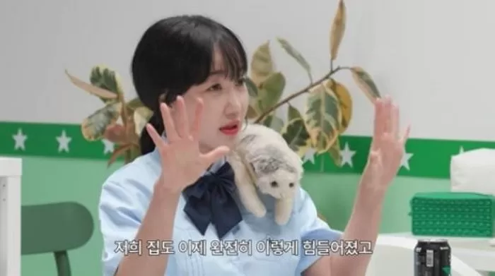 인사이트