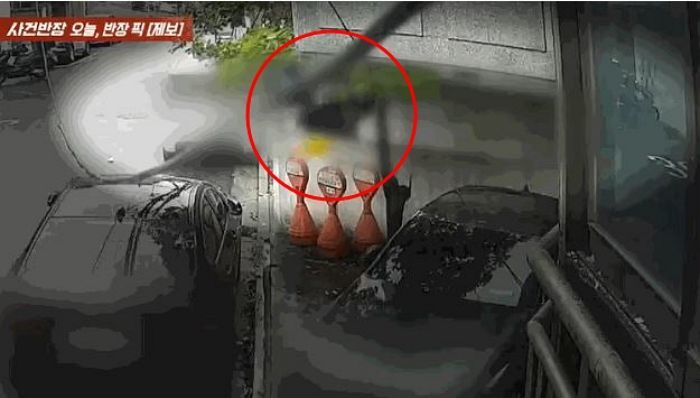 빌라 창문으로 샤워하는 여성 상습적으로 훔쳐본 남성, 국방부 소속 장교였다