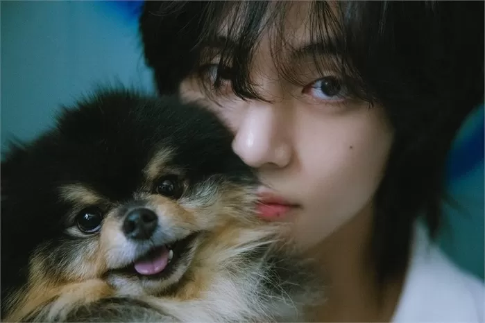 빅히트 뮤직