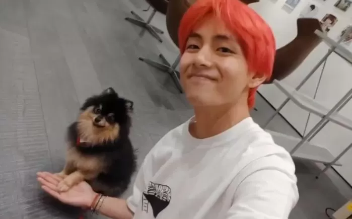 V LIVE 
