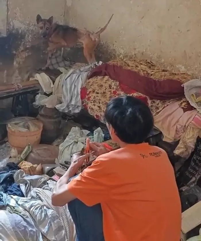 세상 떠난 주인 기다리는 강아지... 구조 손길에도 몇 걸음 못 가고 돌아서 눈물