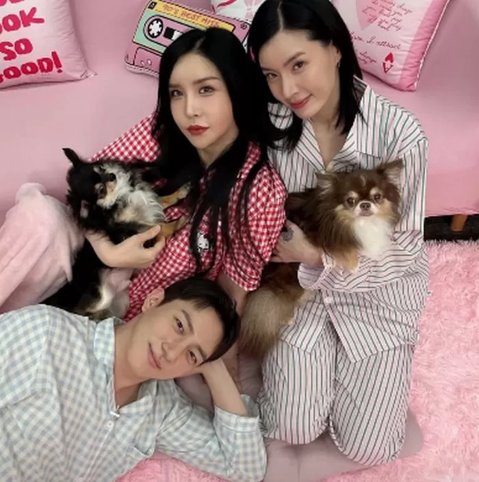 인사이트