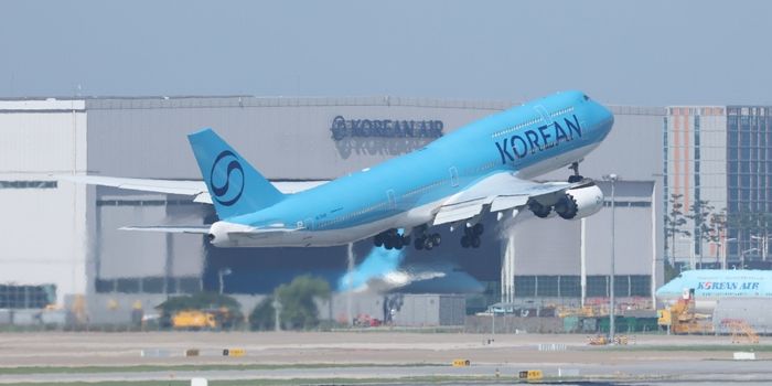 미국서 구금됐던 한국인 근로자 316명, 오늘(12일) 오후 3시 인천공항 도착