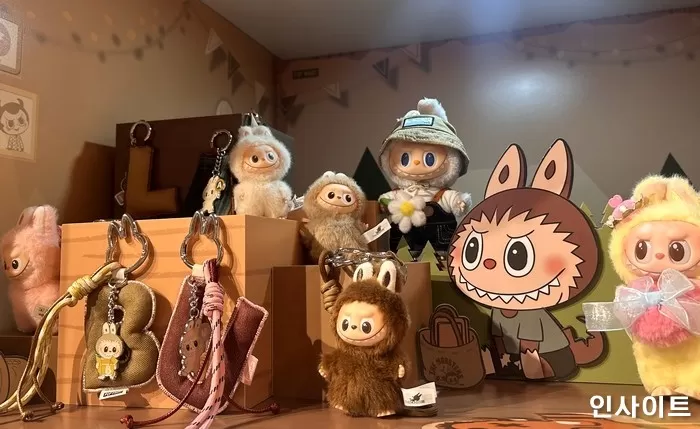 인사이트