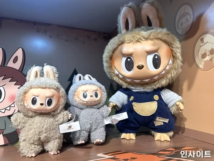 인사이트