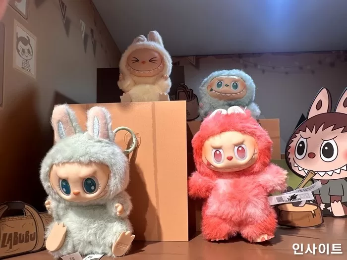 인사이트