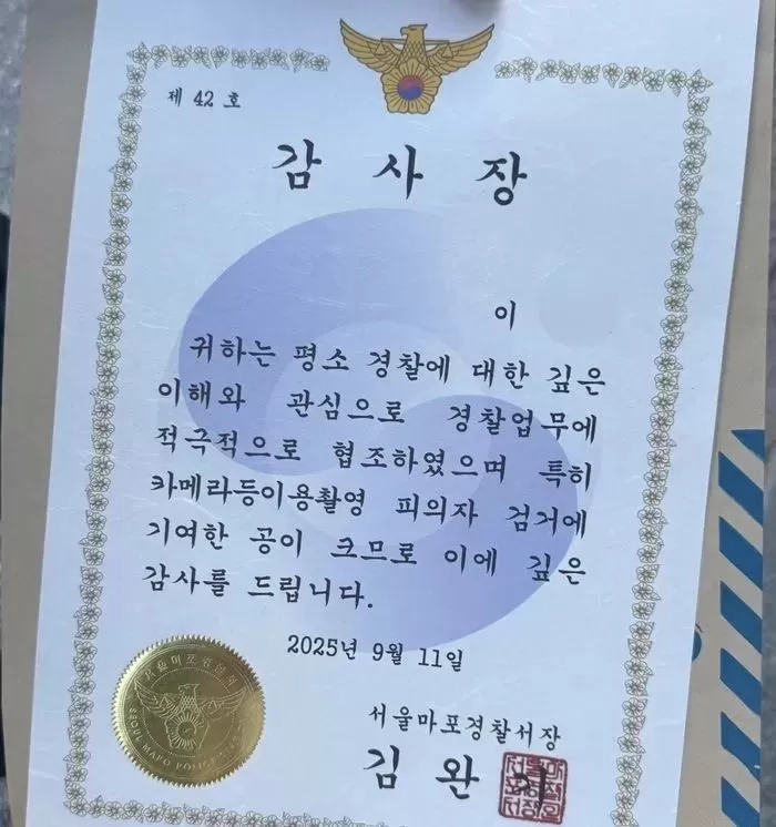 인사이트