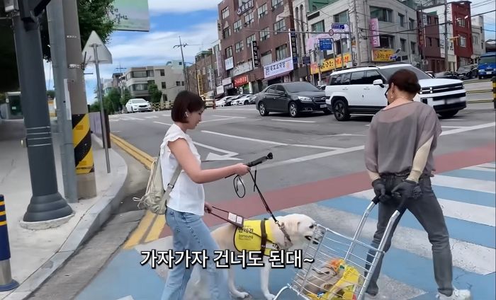 안내견과 동해 묵호 여행 갔다가 감동한 시각장애인... “어딜 가도 마음 편해”