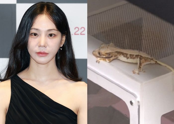 배우 한지은, ‘반려 도마뱀’ 공개했다가 학대 논란 불거져... 급하게 밝힌 입장