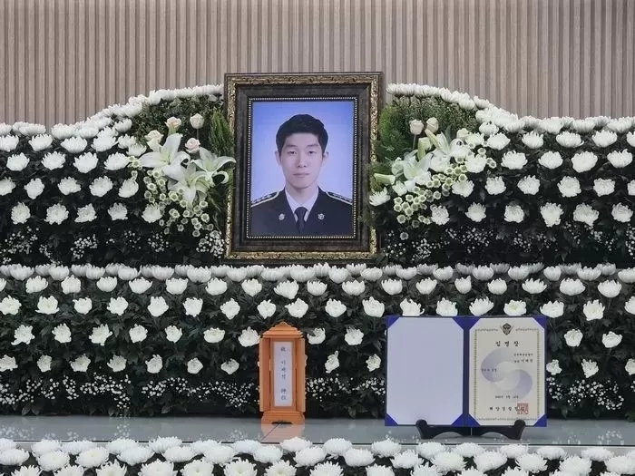 뉴스1